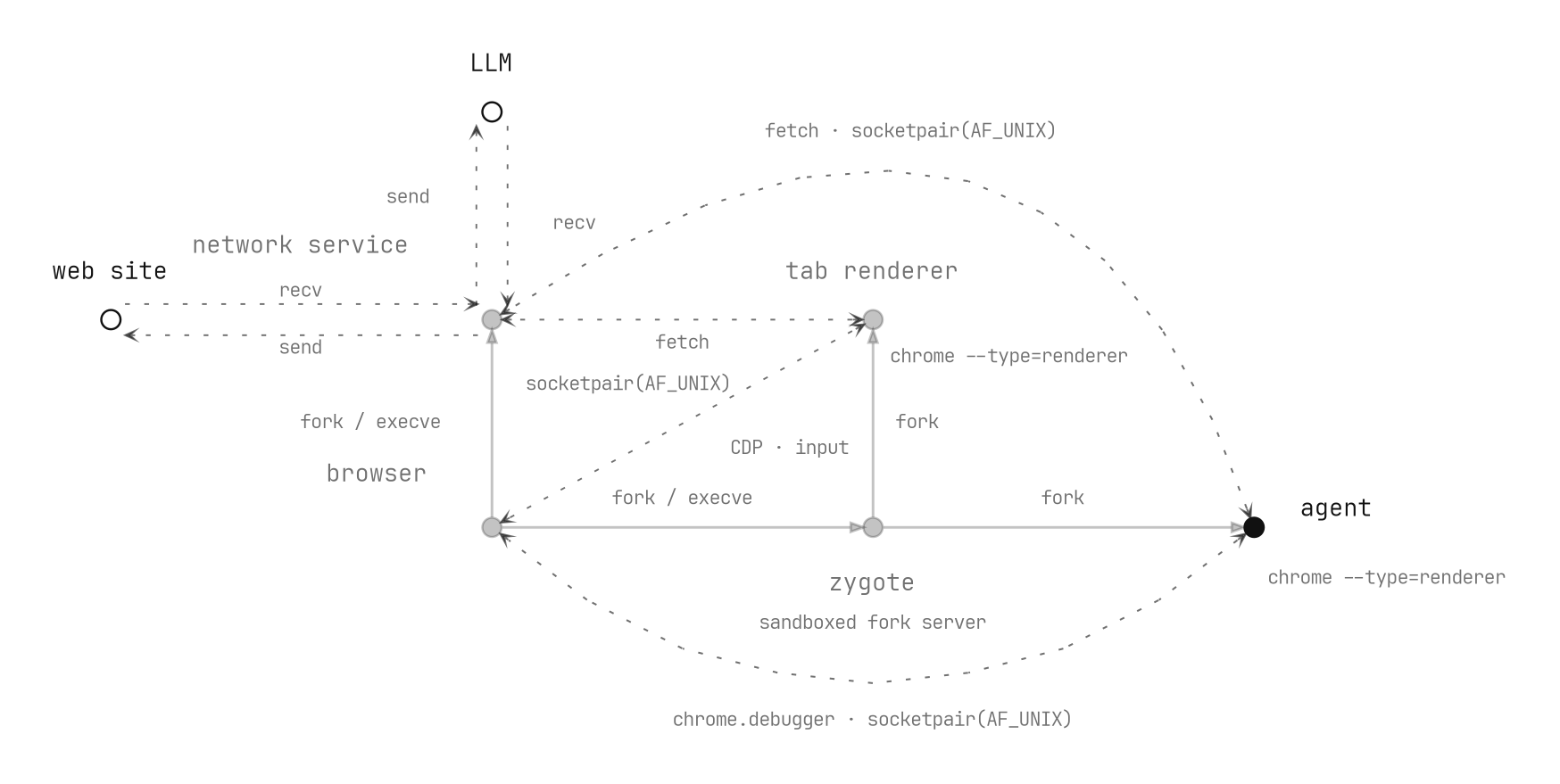Inside a browser's process tree, a zygote forks a renderer that is the agent; the agent reaches the model through the browser's network service and drives a tab through the browser process, all over socketpairs.